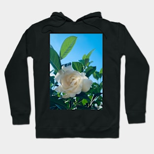 Flower Hoodie